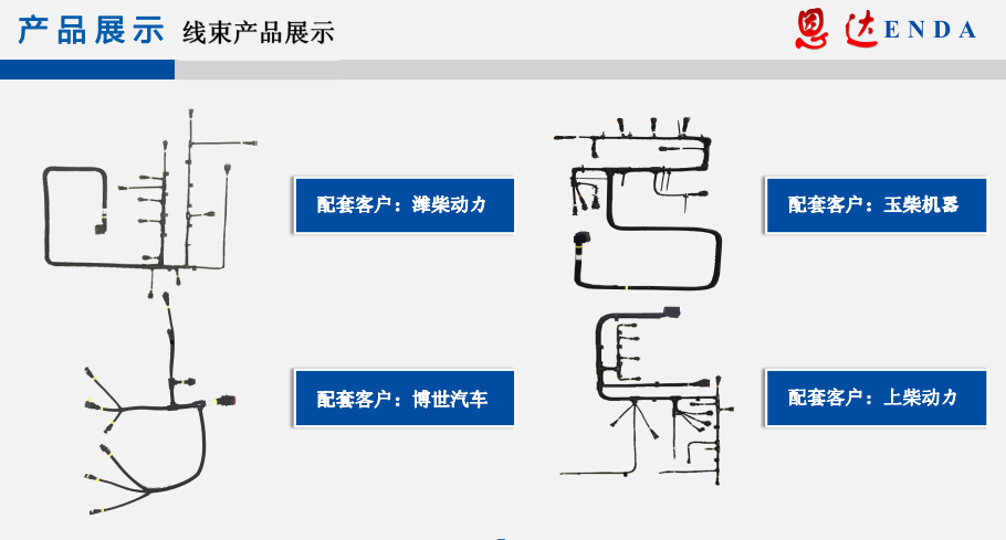 香港内部精准10码