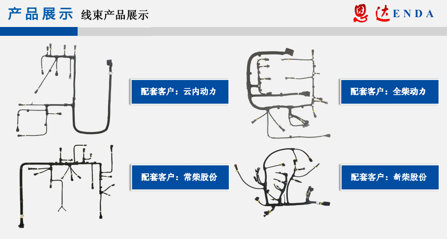 香港内部精准10码